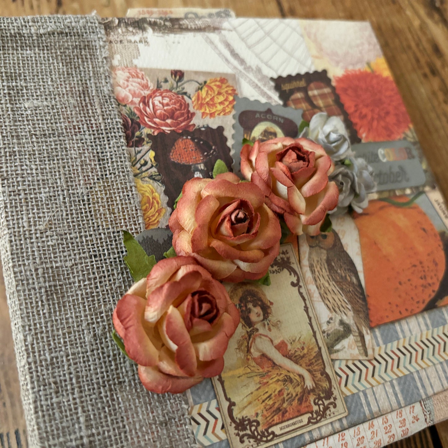 Mini Album - Nestled