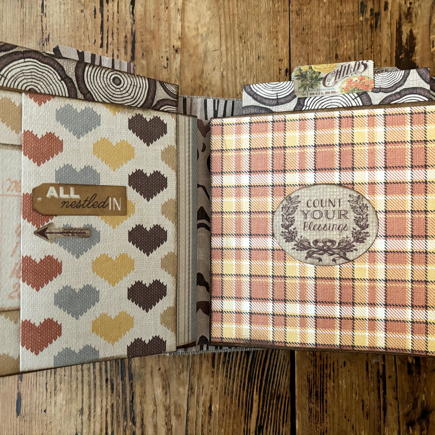 Mini Album - Nestled