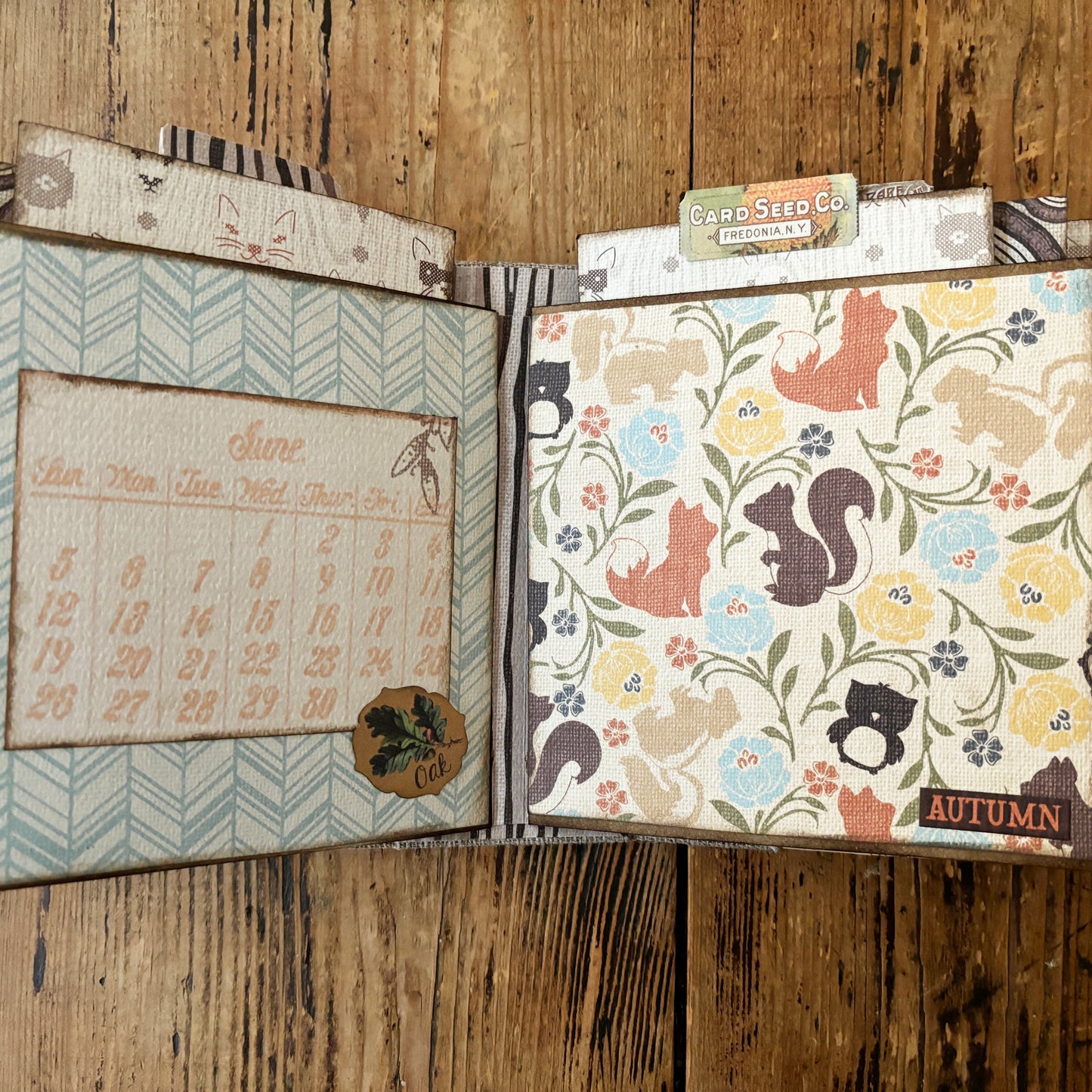 Mini Album - Nestled