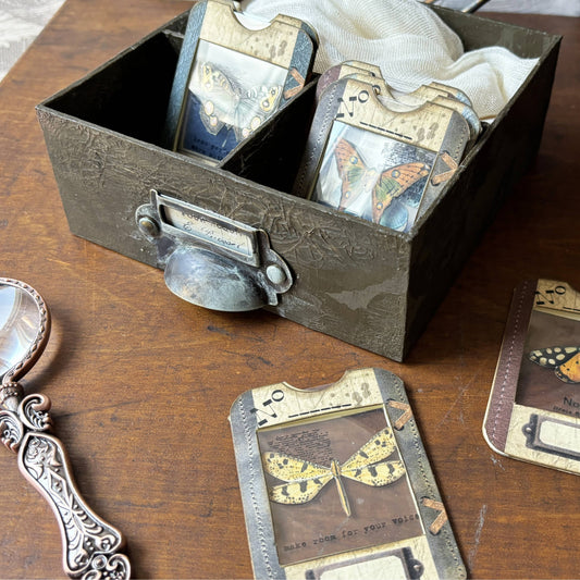 Specimen Cards in Box