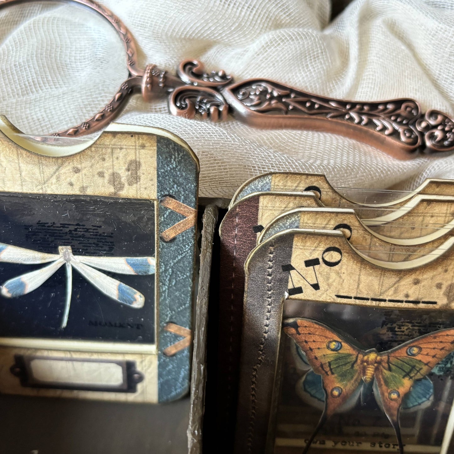 Specimen Cards in Box