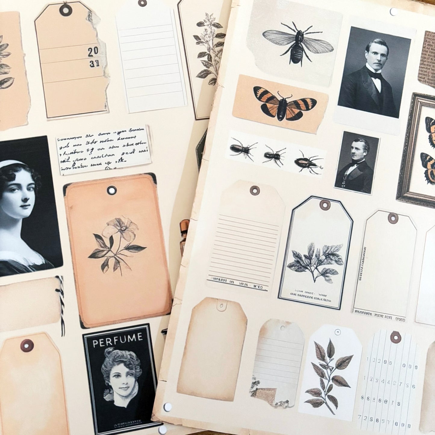 Junk Journal Snippets