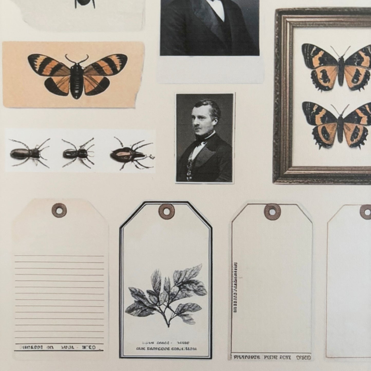 Junk Journal Snippets