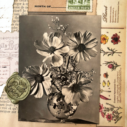 Collage - Fleurs