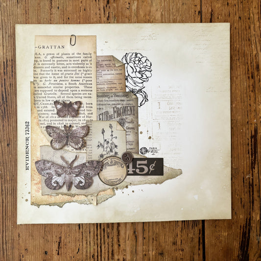 Collage - Papillon