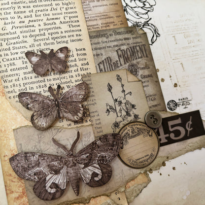 Collage - Papillon