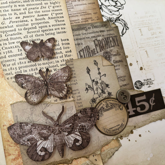 Collage - Papillon